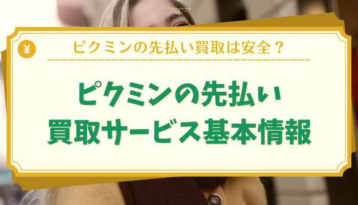 ピクミンの先払い買取サービス基本情報